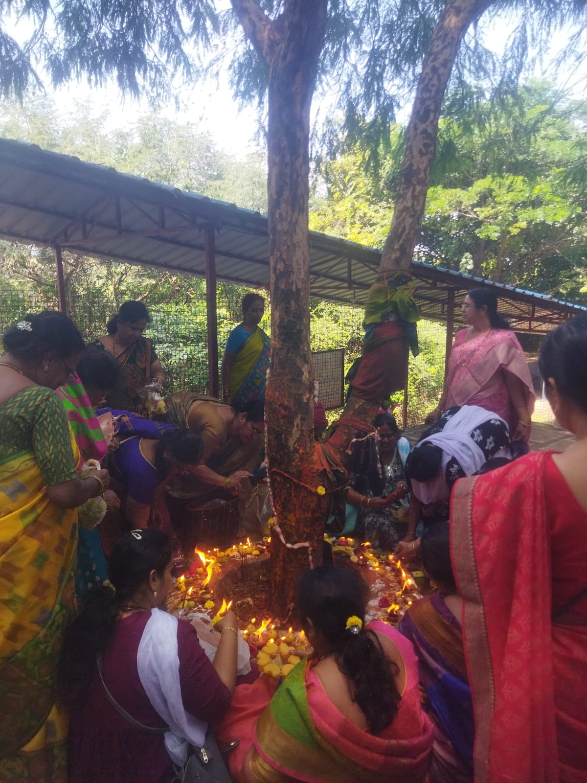 Kaartika Deepothsavam - 1 at Amla tree in  Anantha padmanaabha swami temple on the occation of the of get-together party on 22-11-2023.